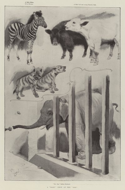 Un espectáculo de bebés en el zoológico de Cecil Charles Windsor Aldin